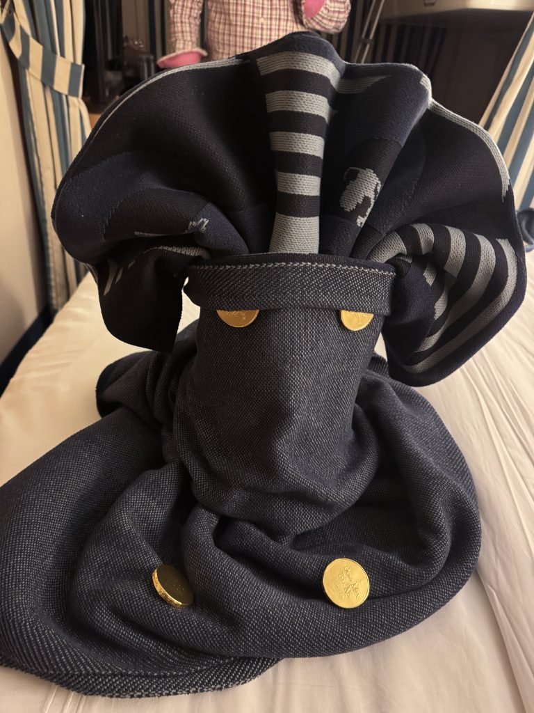 Elaborate towel animal in Disney Cruise stateroom, inspiring thoughtful details for flawless kids party planning."